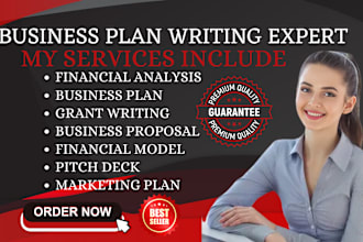 develop a business plan grants proposal pitch deck for startups business plan