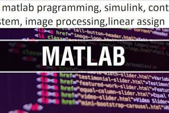 do matlab pragramming, simulink, control system, image processing,linear assign