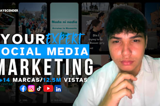 be your social media manager and content creator