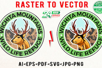 convert raster logo, graphics in vector file high resolution
