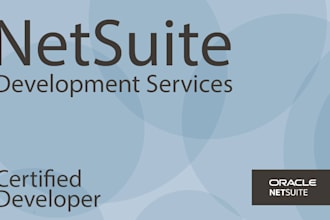 provide expert netsuite development and customization