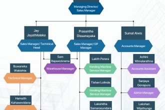create professional company organizational arrow chart design