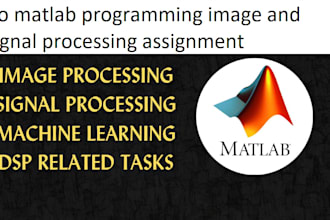 do matlab programming image and signal processing assignment