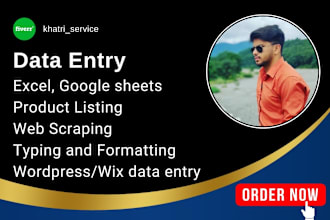 do excel, wordpress, wix data entry, PDF conversion, web research, product list