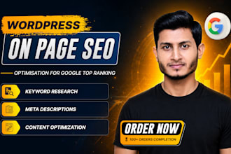 do website on page seo optimization services for google top rankings