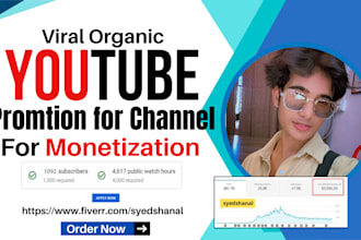 do organic youtube channel and video promotion for monetization