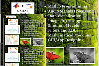 do matlab, simulink, audio and image processing projects assignment and task