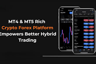 develop an automated forex trading website and application