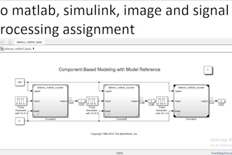 do matlab, simulink, image and signal processing assignment