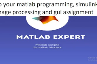 do  matlab programming, simulink, image processing and gui assignment
