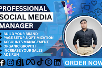 setup and manage your shopify, facebook and instagram ads campaign
