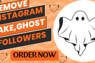 remove fake bot followers from your instagram account