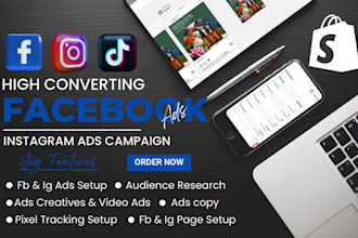 setup and manage facebook ads campaign, instagram ads, fb ads campaign