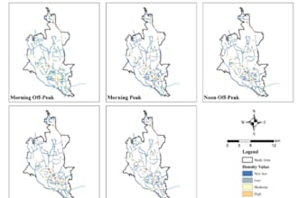 provide expert gis mapping and spatial analysis