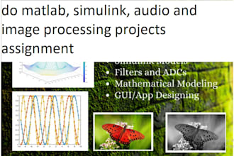 do matlab, simulink, audio and image processing projects assignment