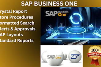 do crystal reporting for sap b1 sql, sql hana