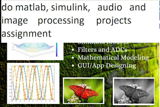 do matlab, simulink, audio and image processing projects assignment