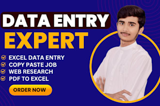 do data entry, copy paste, job work