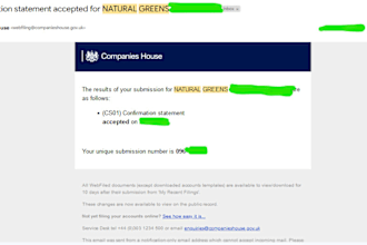 submit your confirmation statement