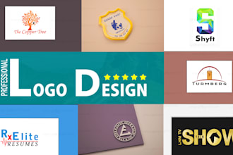 do perfect logo design, custom wordmark, and brand identity