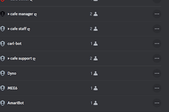 setup a professional custom discord server