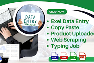 data entry, copy paste, web research, excel data entry, pdf to excel