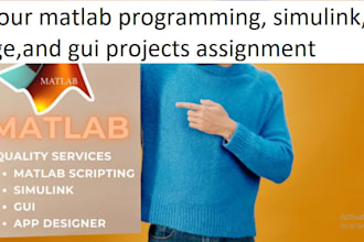 do  matlab programming, simulink, image,and gui projects assignment