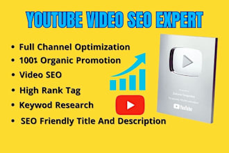 do best youtube video SEO for organic ranking and channel growth manager
