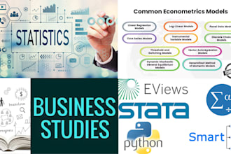 do professional data analysis in spss, stata, eviews, r, smartpls, and python