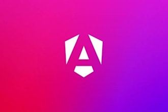 be your expert angular developer