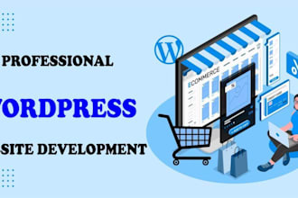 develop a professional website, blog and website maintenance