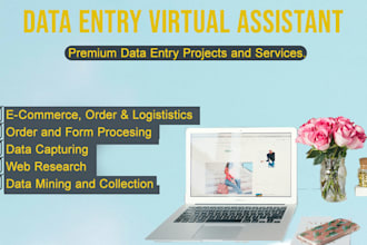 provide quick professional real estate data entry services