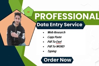 do data entry , copy paste in ms exel or ms world