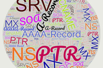 expertly transfer, set up, and manage your domain with comprehensive support
