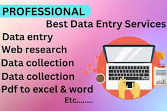 carry out flawless data entry work and web research swiftly