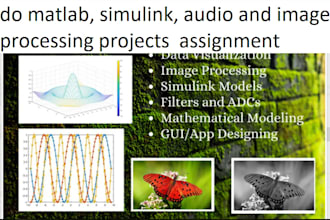 do matlab, simulink, audio and image processing projects  assignment