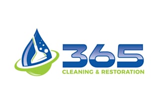 design spectacular amazing carpet cleaning logo