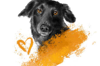 draw your dog or cat