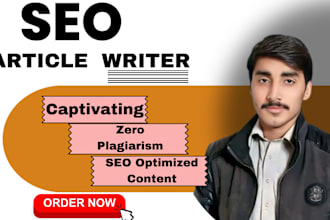write professional SEO blogs, articles, rewriting
