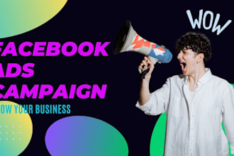 setup facebook ads campaign for your business