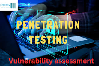 penetration test and vulnerability analysis on your websites