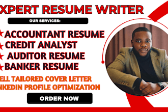 provide banking credit analyst auditor risk analyst banker accounting resume