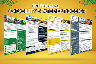 do federal government contract, capability statement, design with business flyer