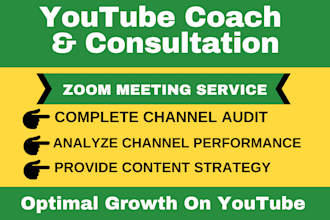 be youtube consultant or coach to provide consultation