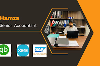 be sap accountant and bookkeeper