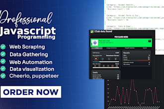 provide expert programming services in javascript