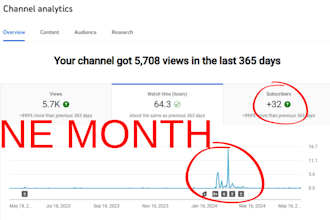 do the best youtube SEO video optimization