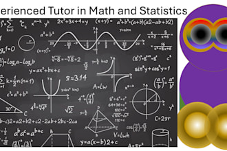 tutor in math or statistics
