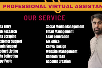 professional virtual assistant business e commerce