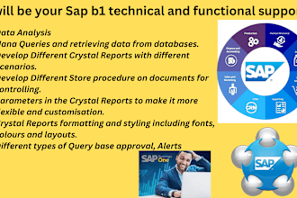 provide sap b1 technical and functional support